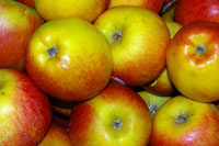 Link to article: Upsetting the apple cart: Image (c) Stephen Mcwilliam / Fotolia